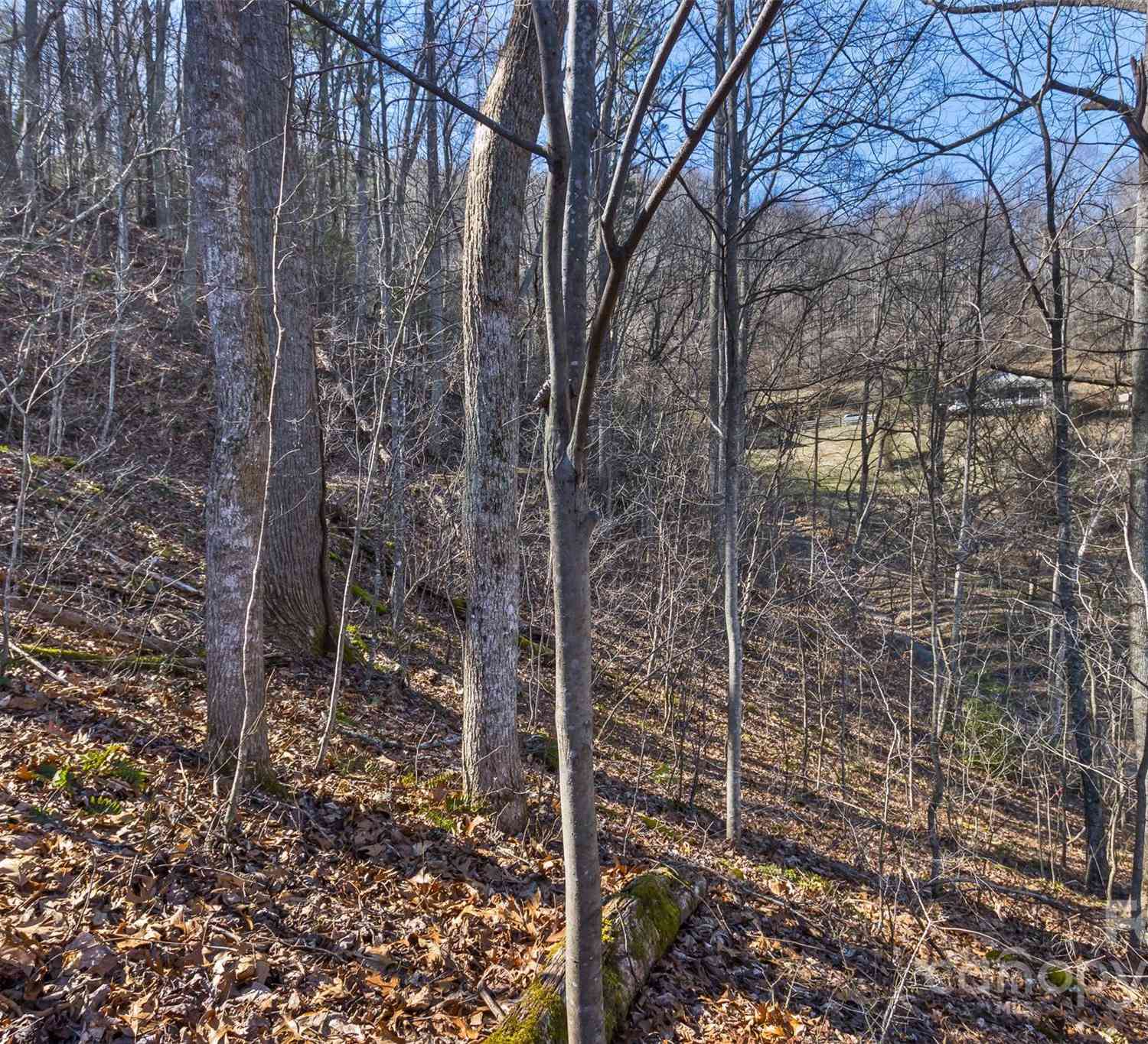 Anderson Branch Road, Marshall, North Carolina image 17