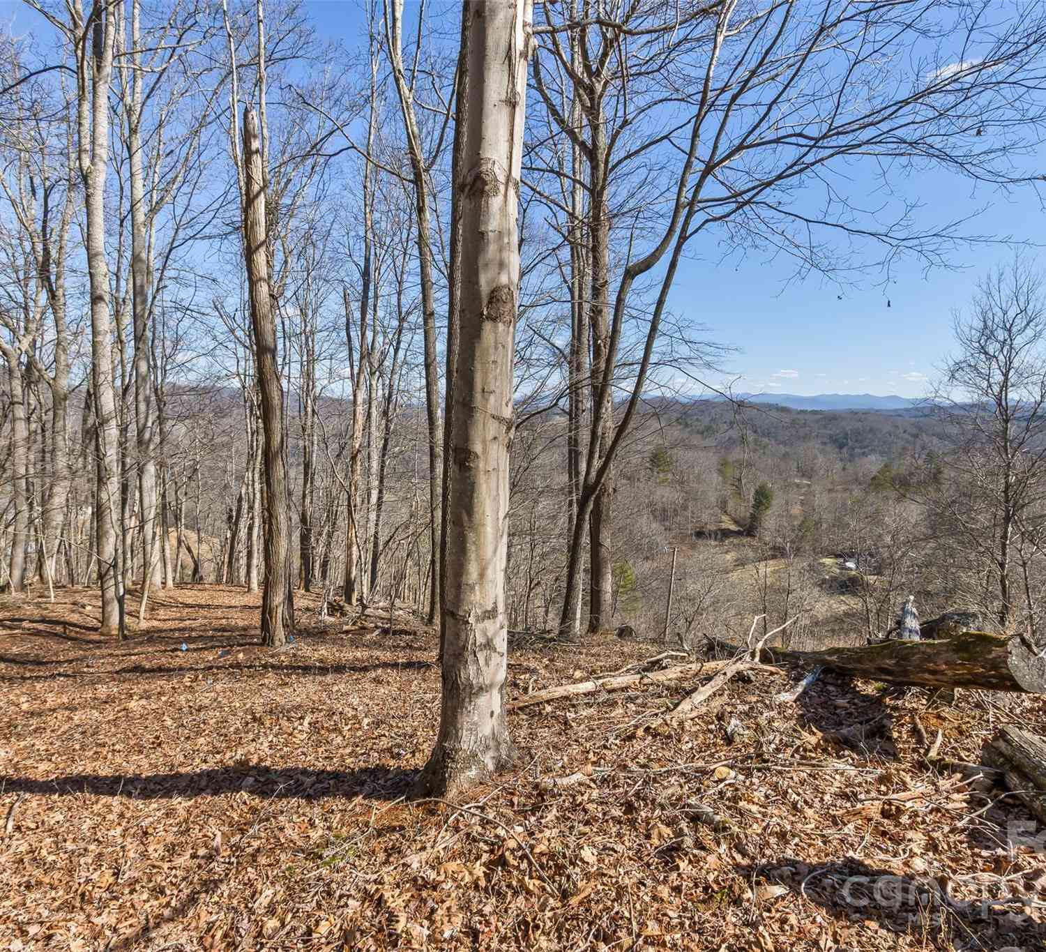 Anderson Branch Road, Marshall, North Carolina image 4