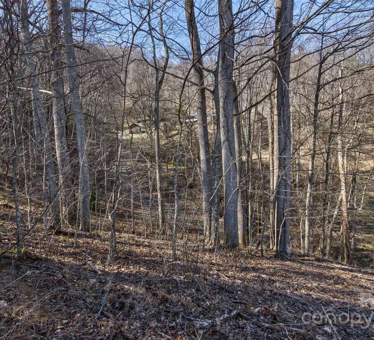 Anderson Branch Road, Marshall, North Carolina image 23