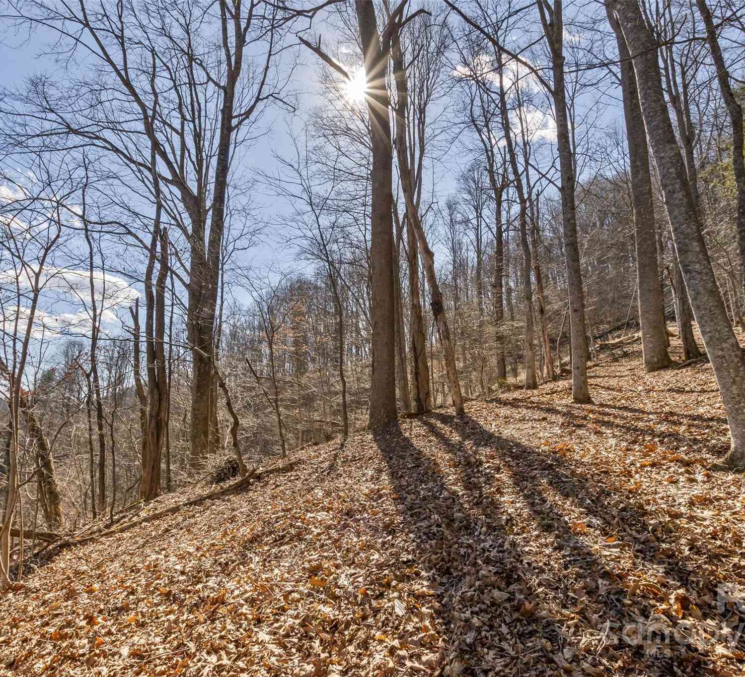 Anderson Branch Road, Marshall, North Carolina image 20