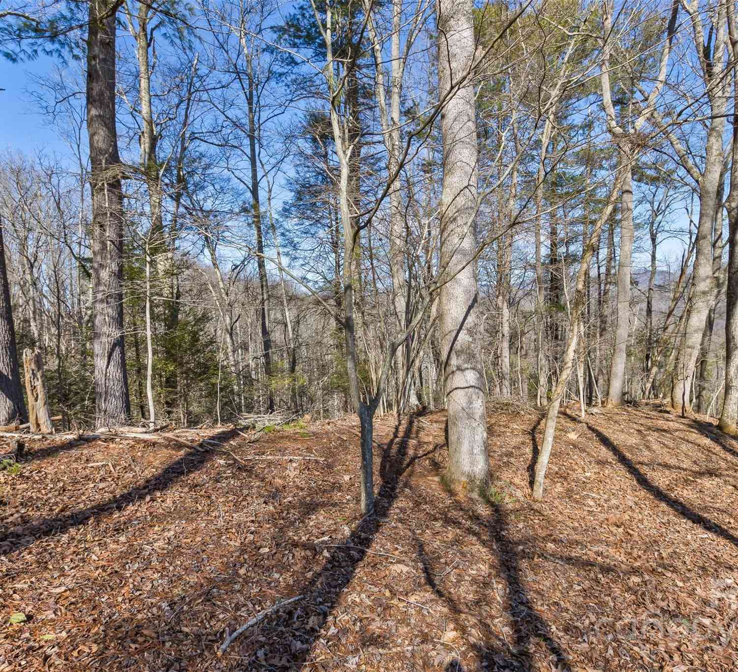 Anderson Branch Road, Marshall, North Carolina image 22