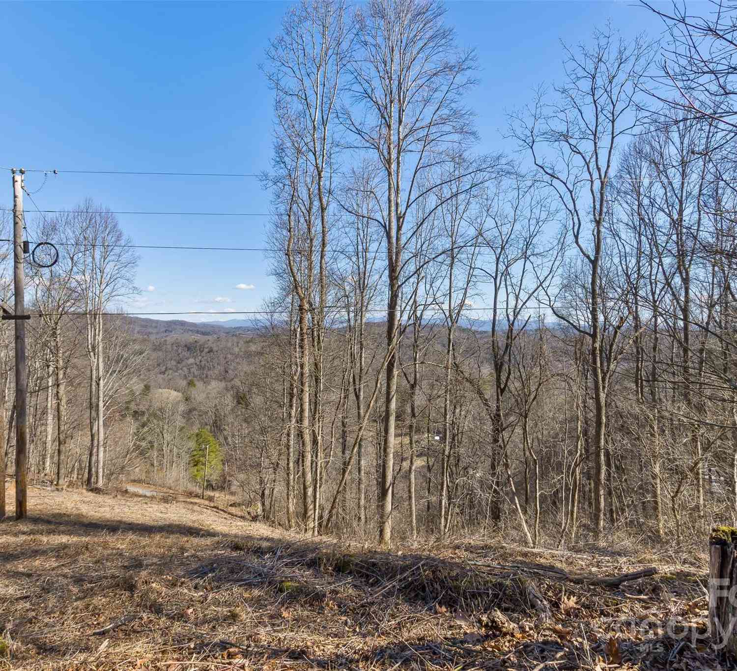 Anderson Branch Road, Marshall, North Carolina image 16