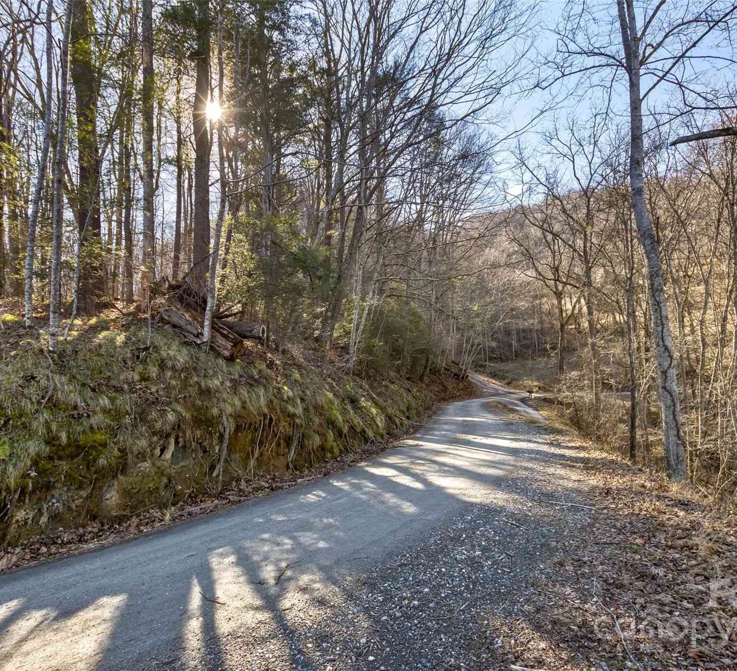 Anderson Branch Road, Marshall, North Carolina image 28