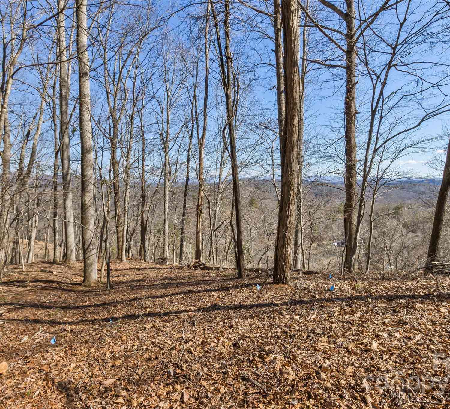 Anderson Branch Road, Marshall, North Carolina image 3