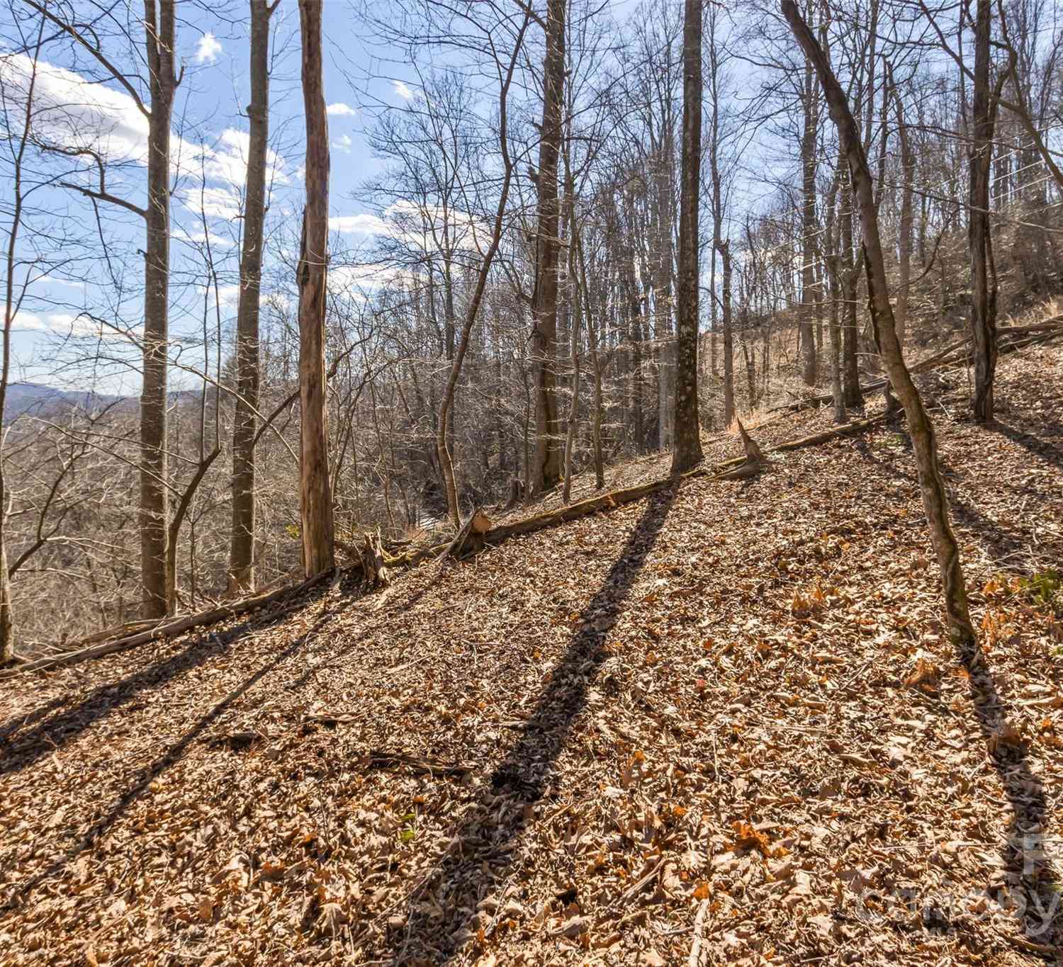 Anderson Branch Road, Marshall, North Carolina image 21