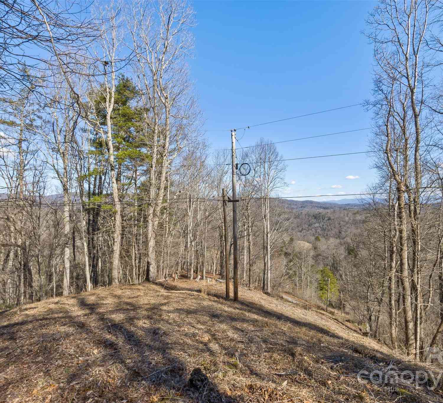 Anderson Branch Road, Marshall, North Carolina image 15