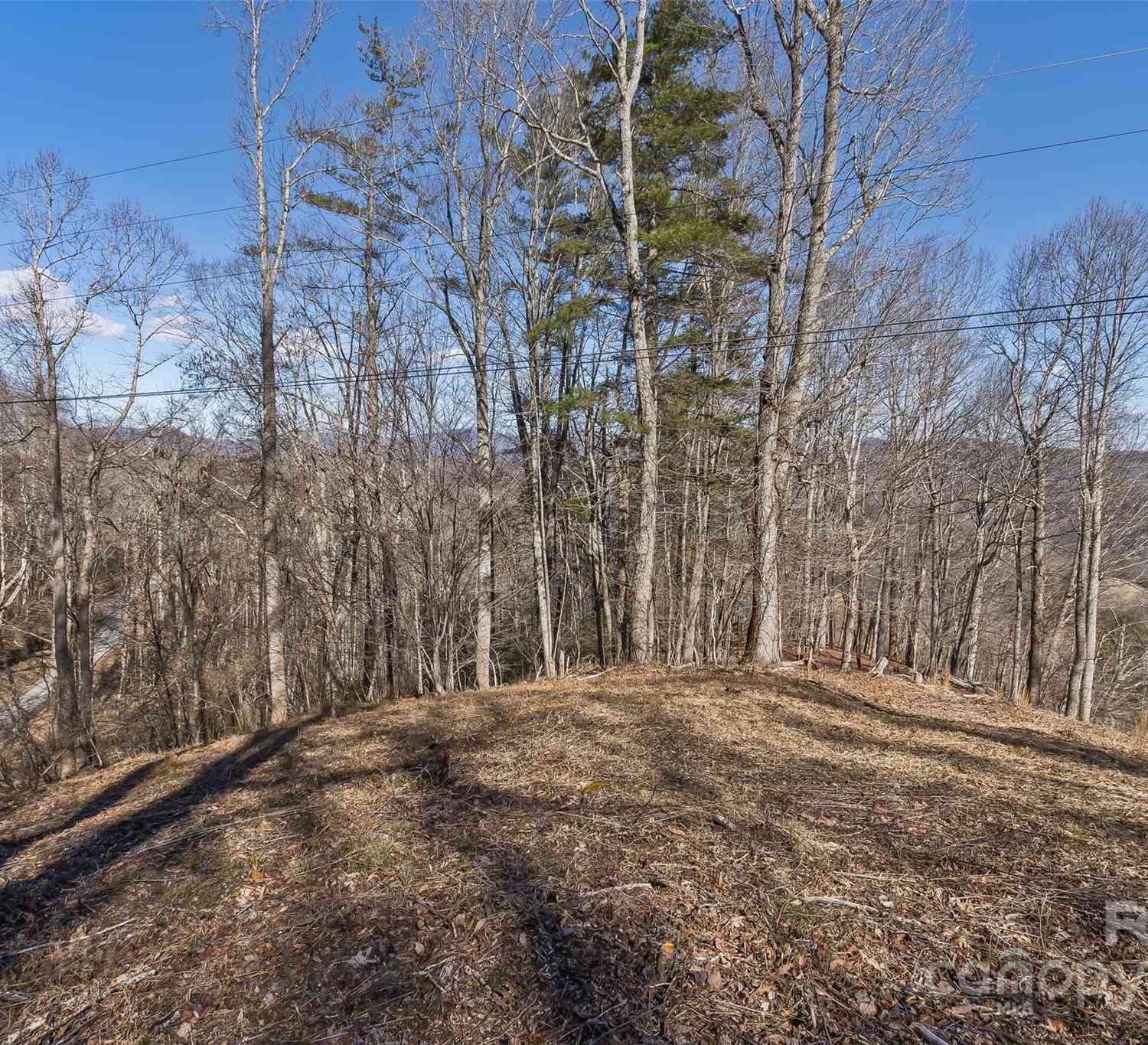 Anderson Branch Road, Marshall, North Carolina image 24