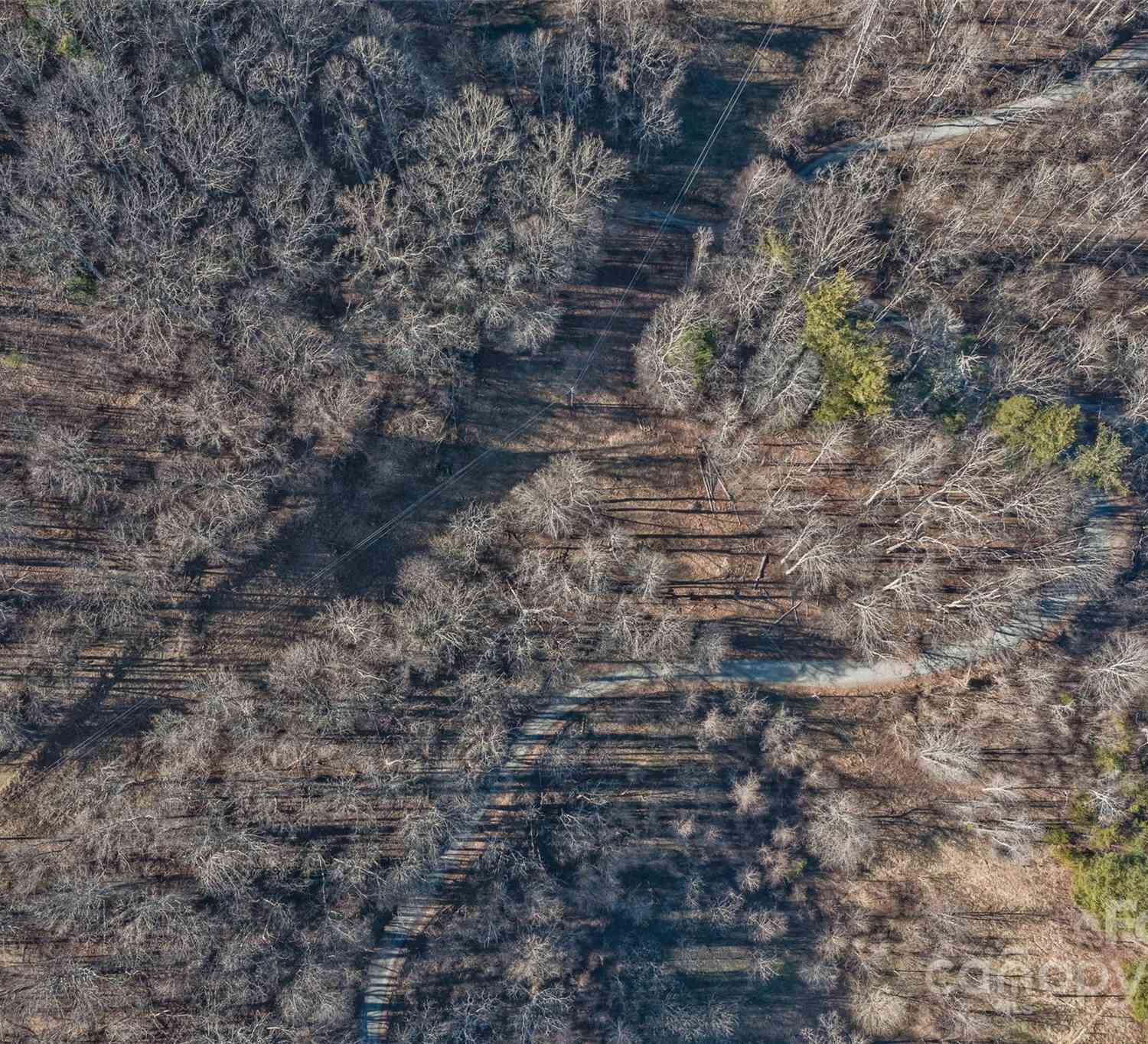 Anderson Branch Road, Marshall, North Carolina image 31