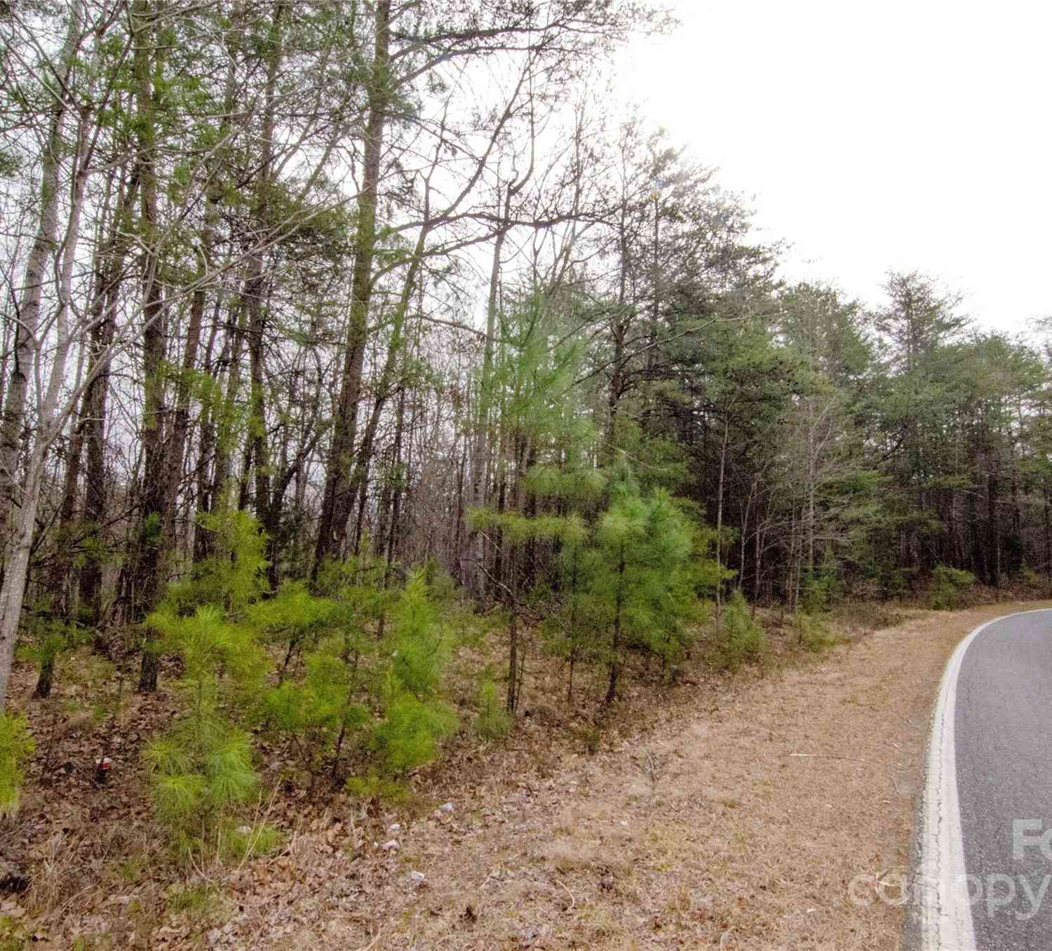 Rainbow Rapids Road, Rutherfordton, North Carolina image 2