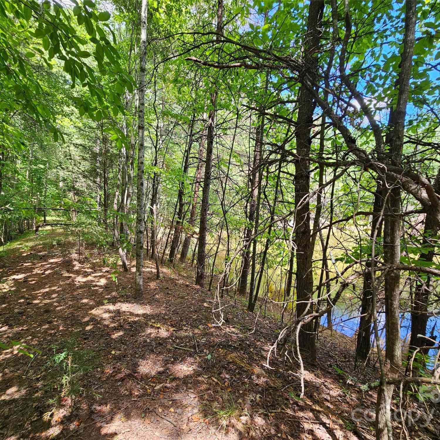 Broyhill Road, Rutherfordton, North Carolina image 17