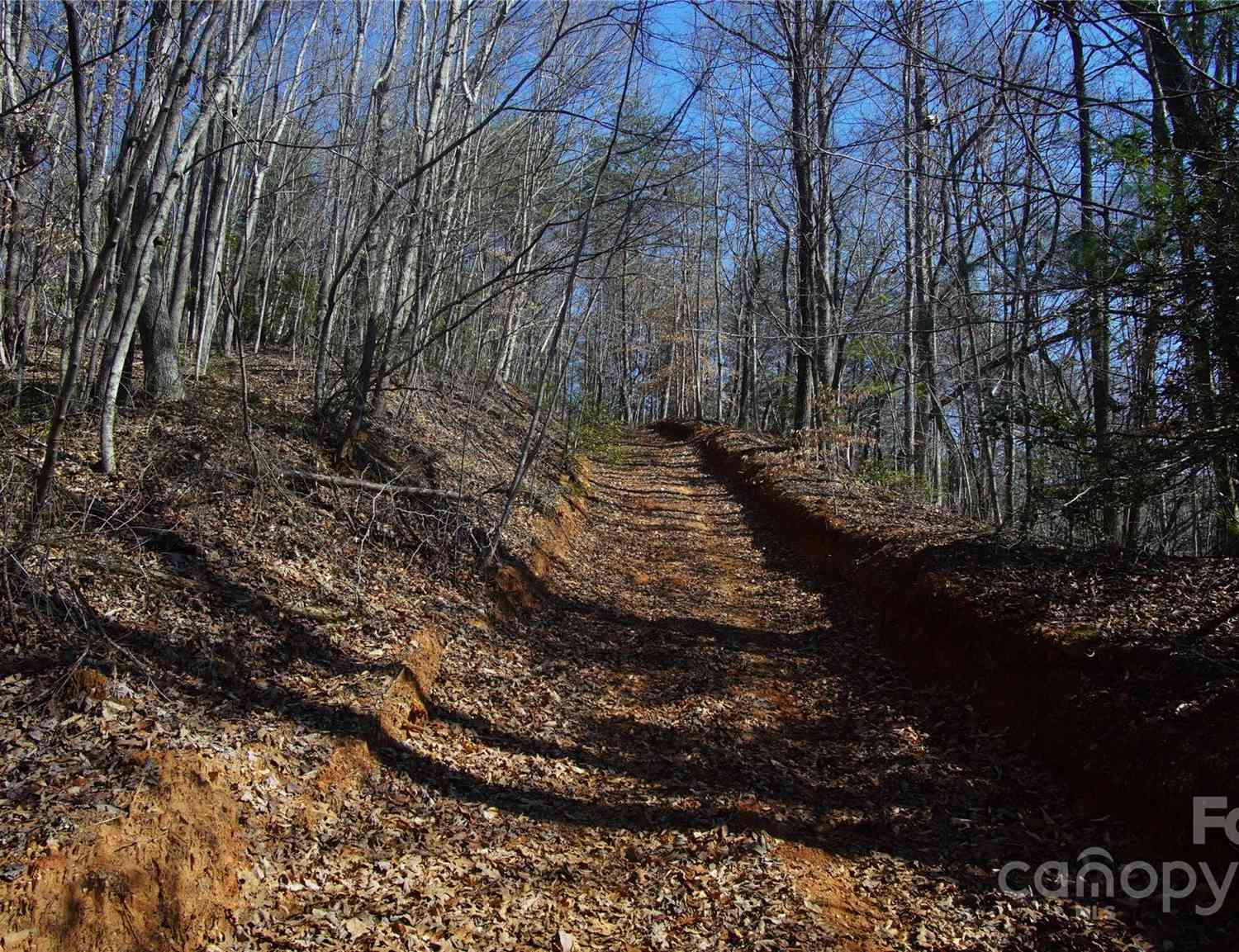 00 Vannoy Ridge Road, Moravian Falls, North Carolina image 12