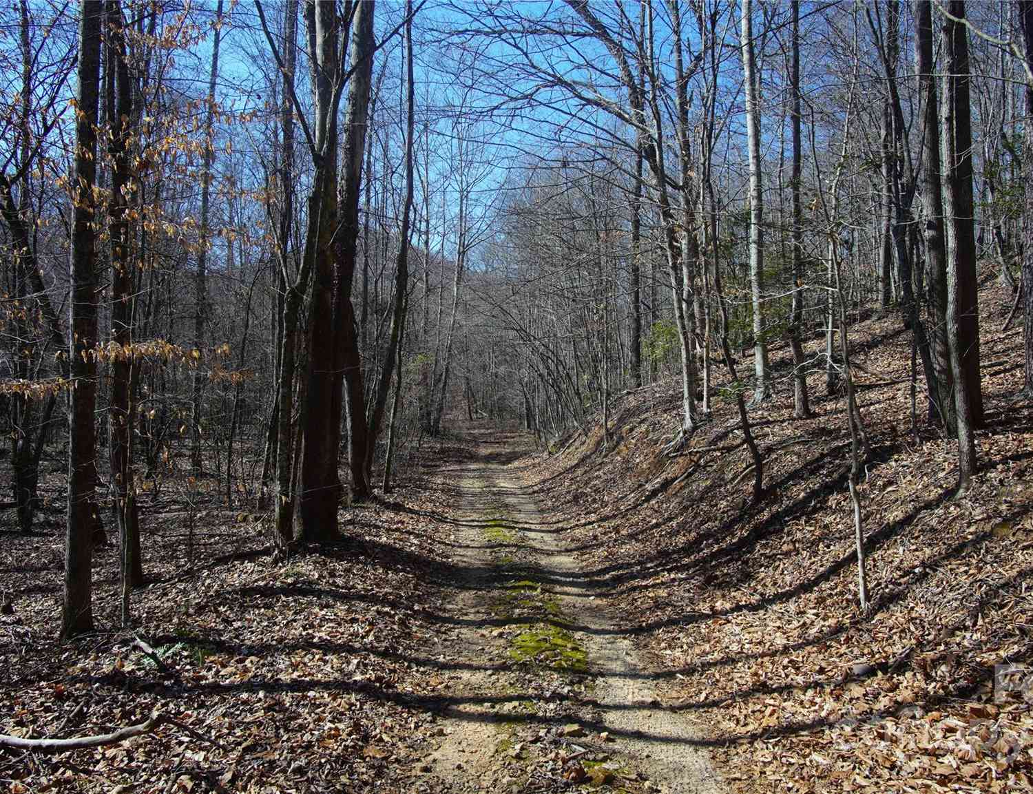 00 Vannoy Ridge Road, Moravian Falls, North Carolina image 10