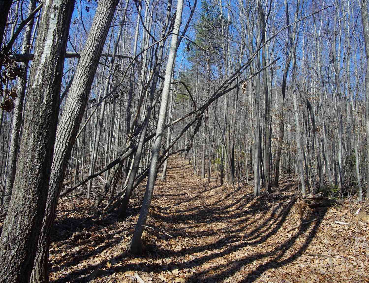 00 Vannoy Ridge Road, Moravian Falls, North Carolina image 17