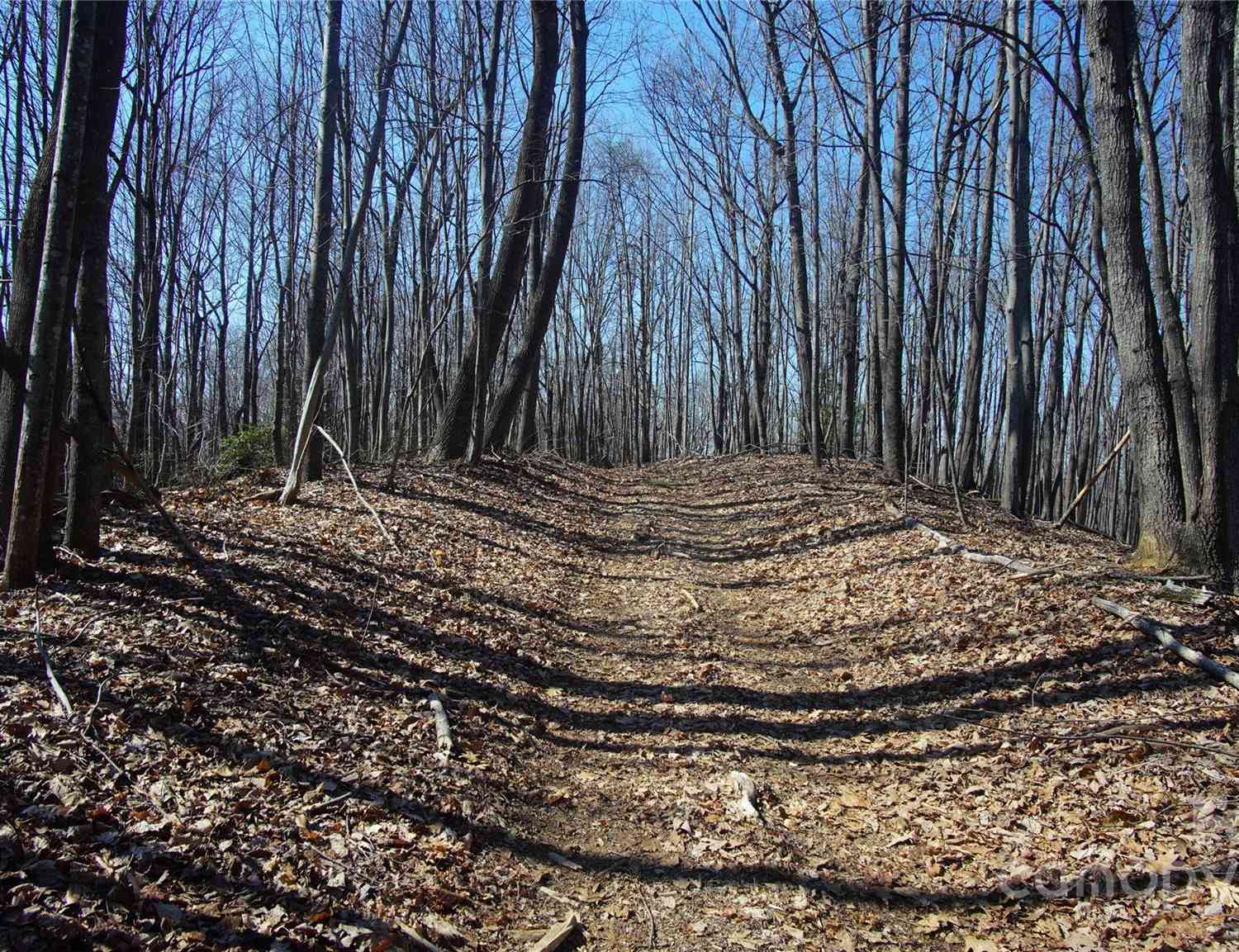 00 Vannoy Ridge Road, Moravian Falls, North Carolina image 2