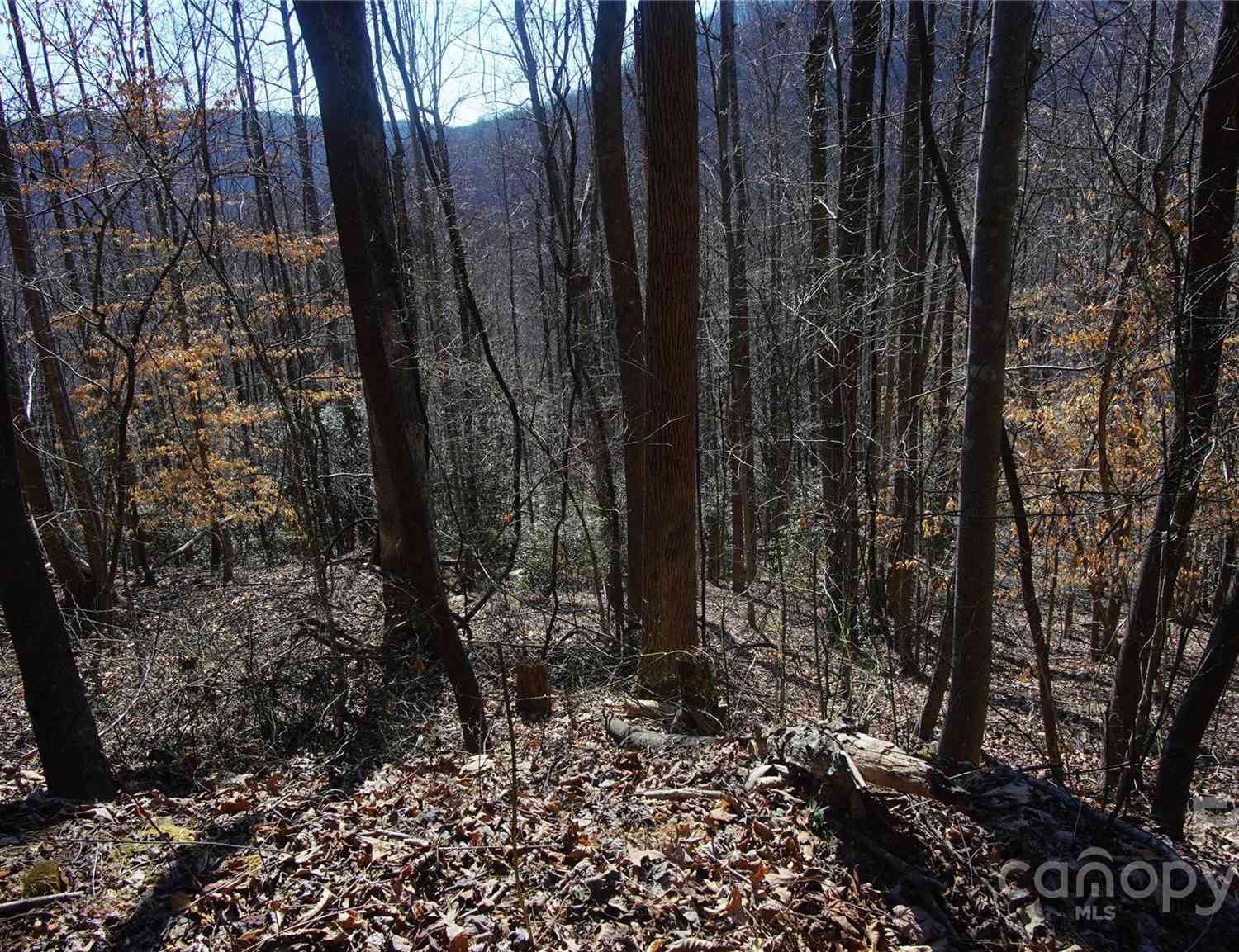 00 Vannoy Ridge Road, Moravian Falls, North Carolina image 21