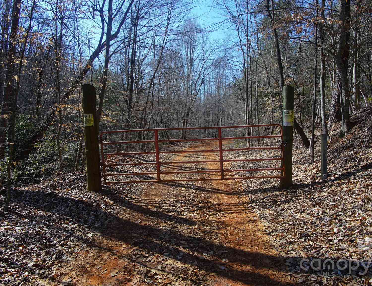 00 Vannoy Ridge Road, Moravian Falls, North Carolina image 6