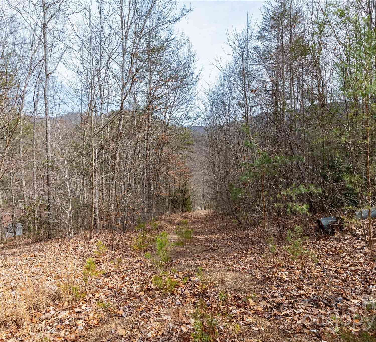 48 Houdini Trail, Canton, North Carolina image 7