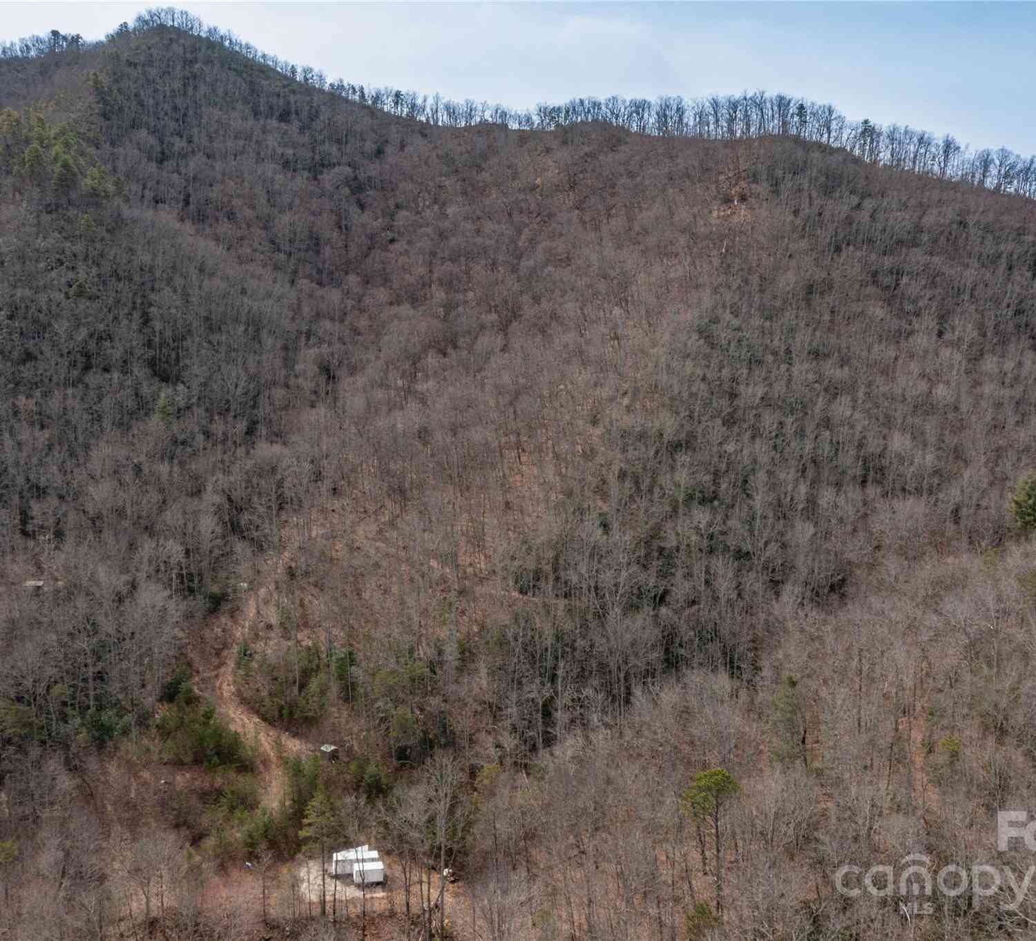 48 Houdini Trail, Canton, North Carolina image 12