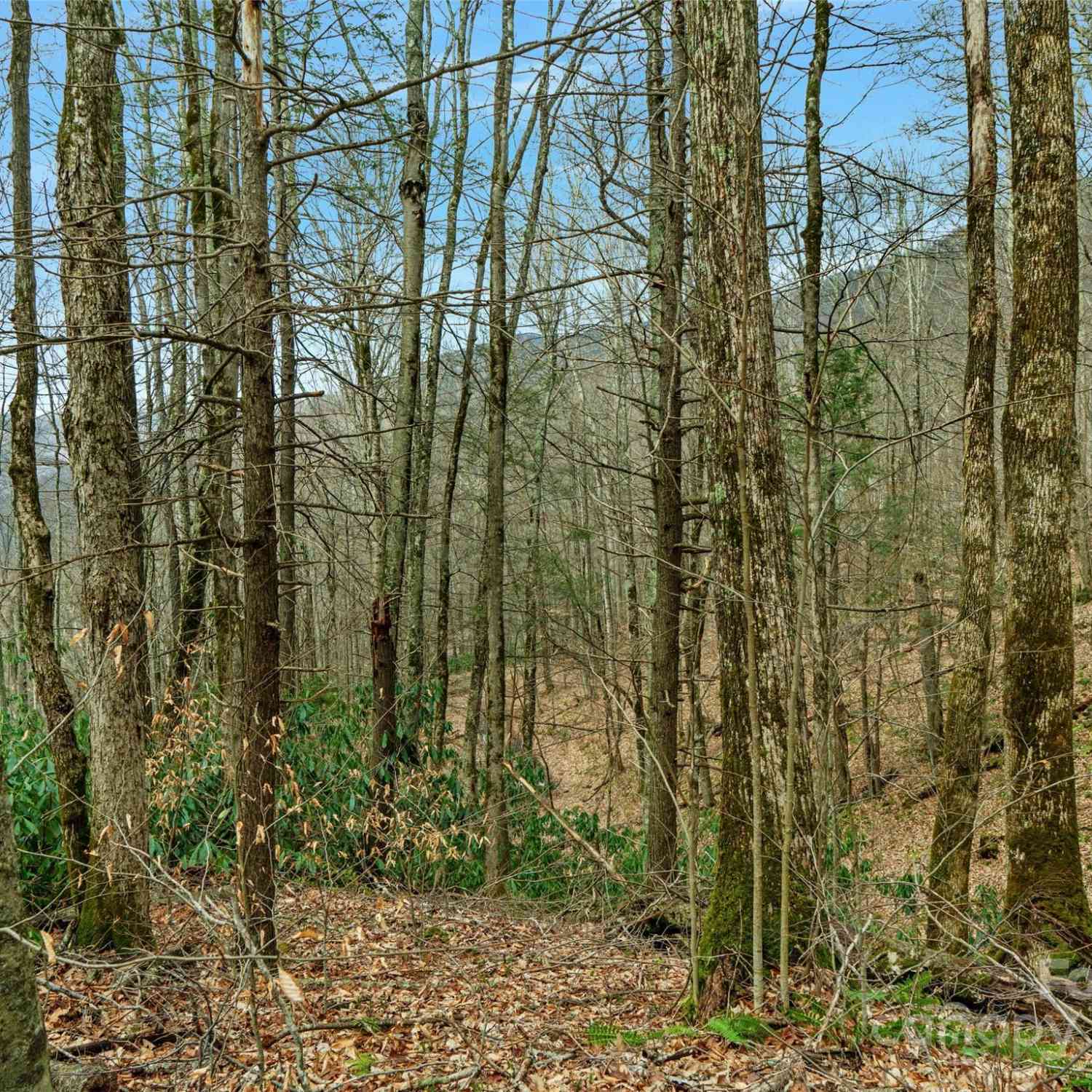 3 +/- Acres Mountain Laurel Lane, Burnsville, North Carolina image 7