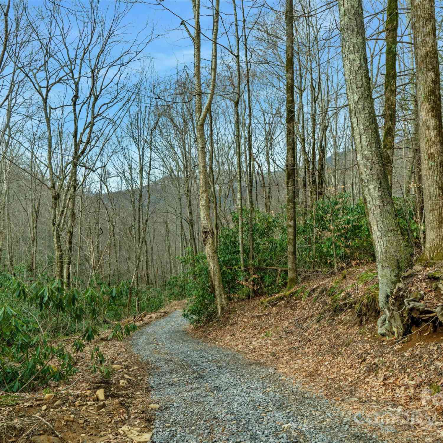 3 +/- Acres Mountain Laurel Lane, Burnsville, North Carolina image 9