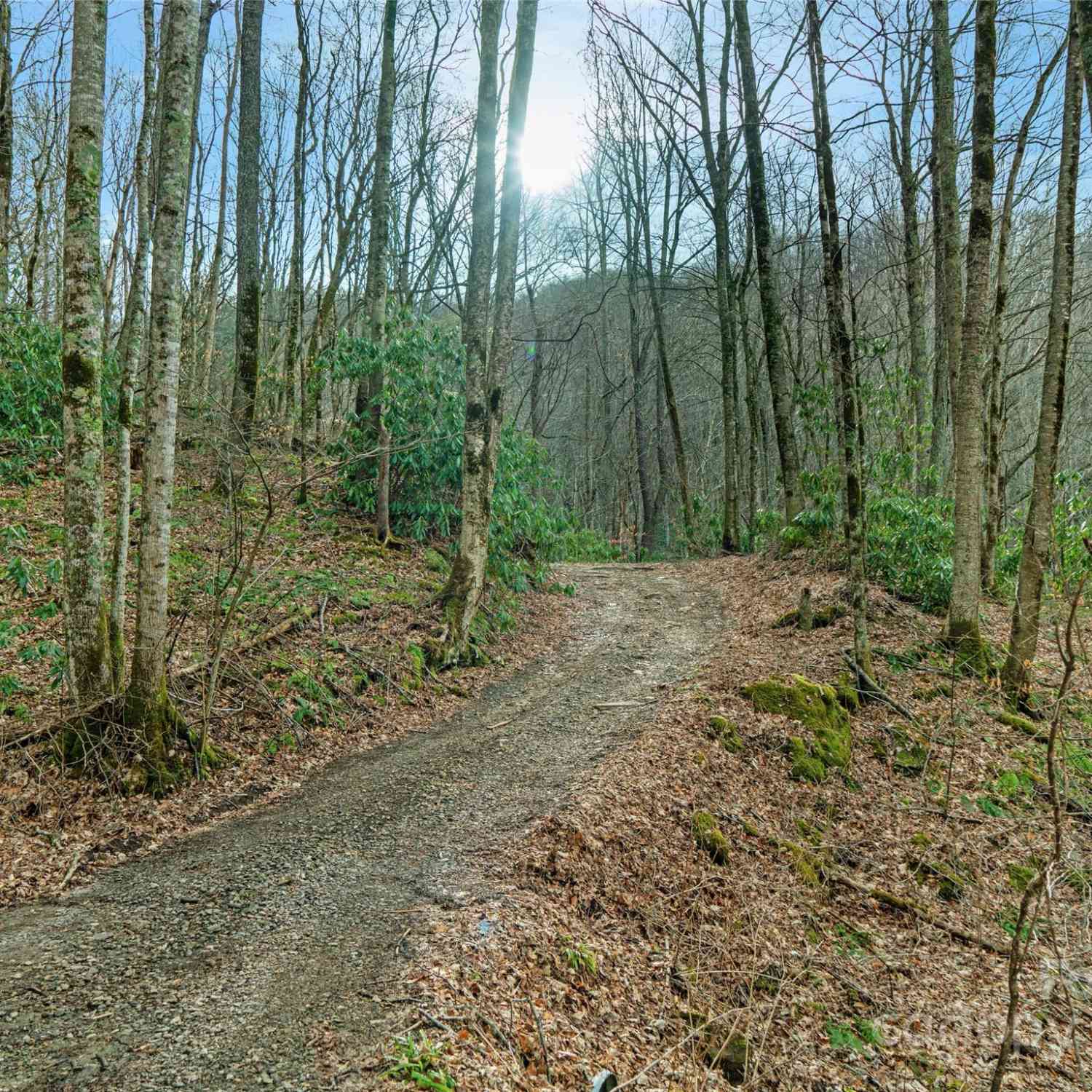 3 +/- Acres Mountain Laurel Lane, Burnsville, North Carolina image 21