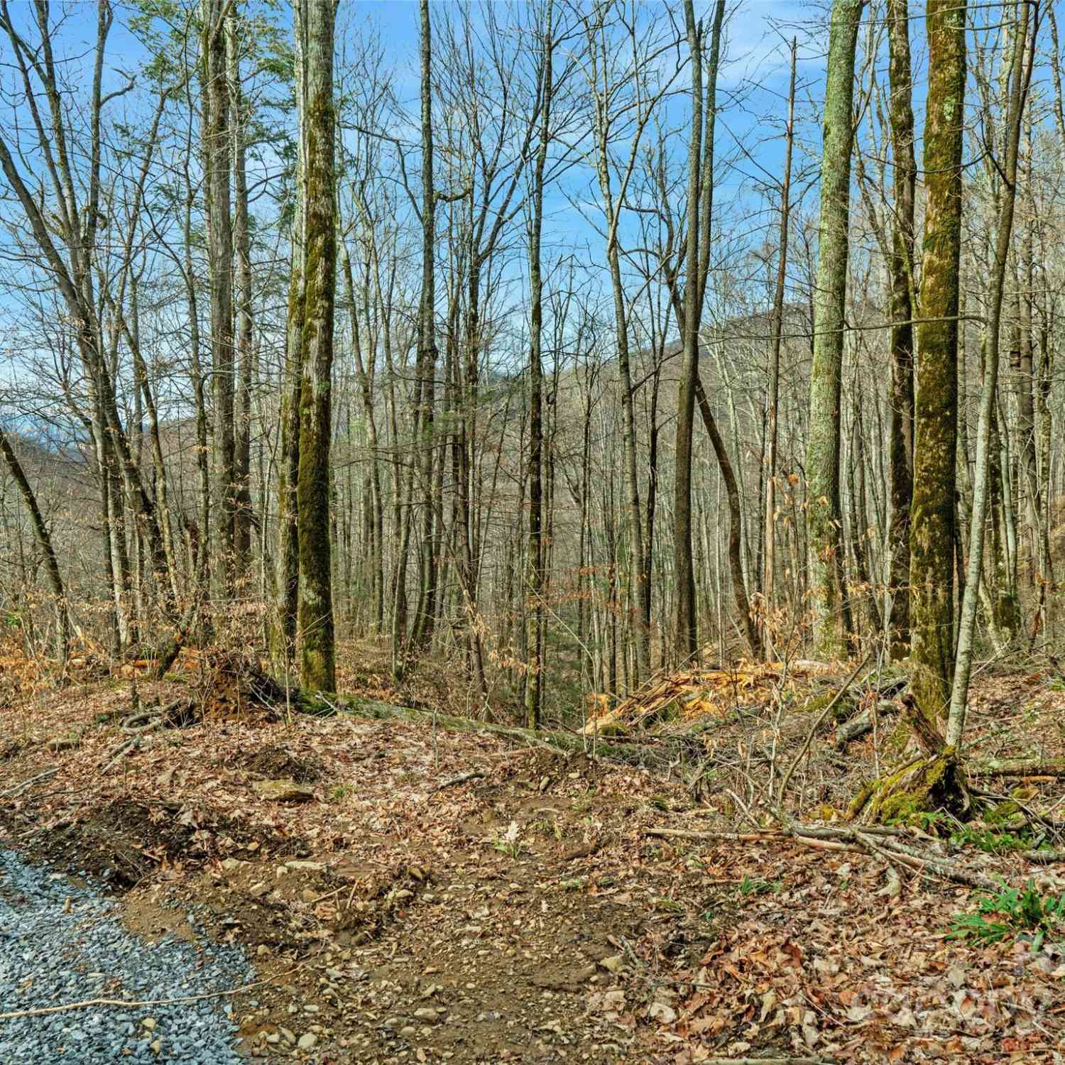 3 +/- Acres Mountain Laurel Lane, Burnsville, North Carolina image 11