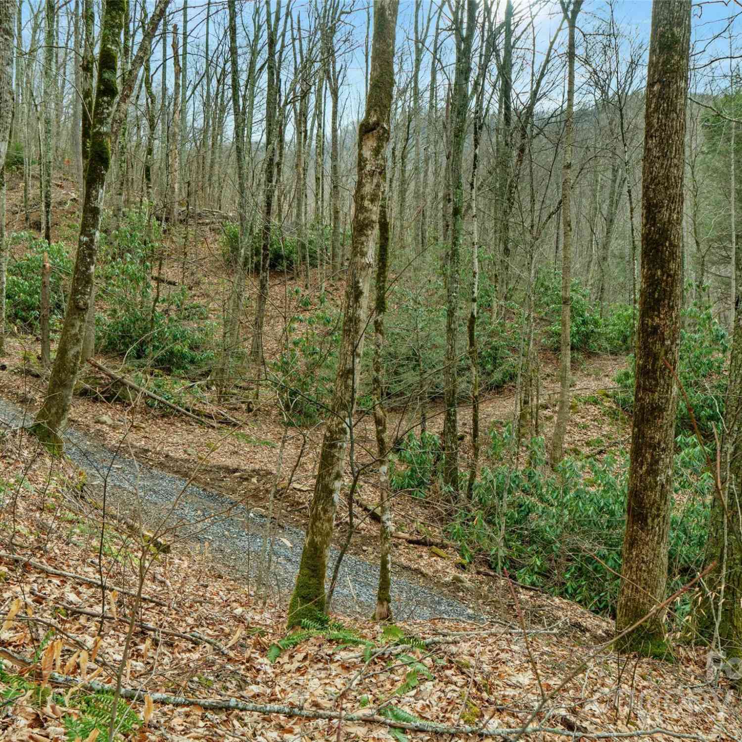 3 +/- Acres Mountain Laurel Lane, Burnsville, North Carolina image 6