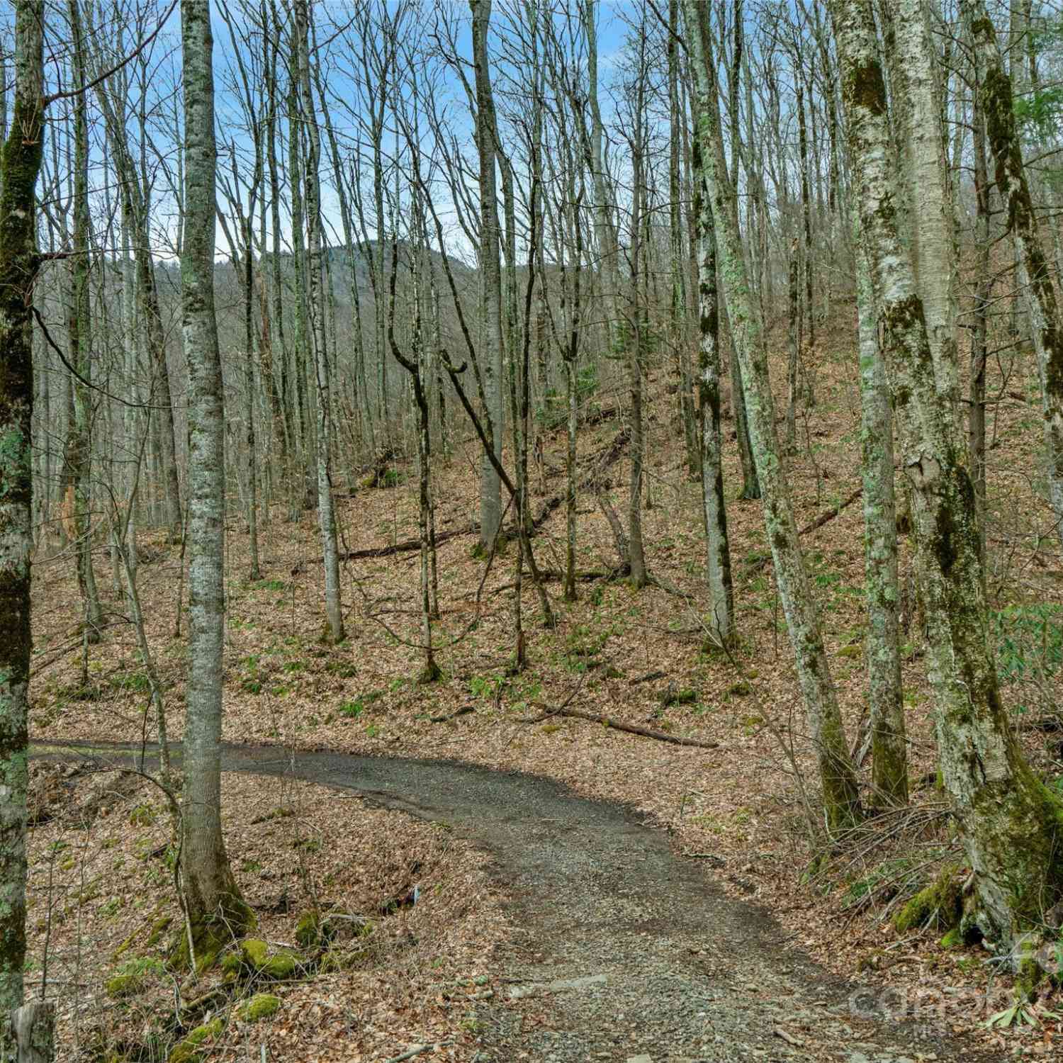 3 +/- Acres Mountain Laurel Lane, Burnsville, North Carolina image 12