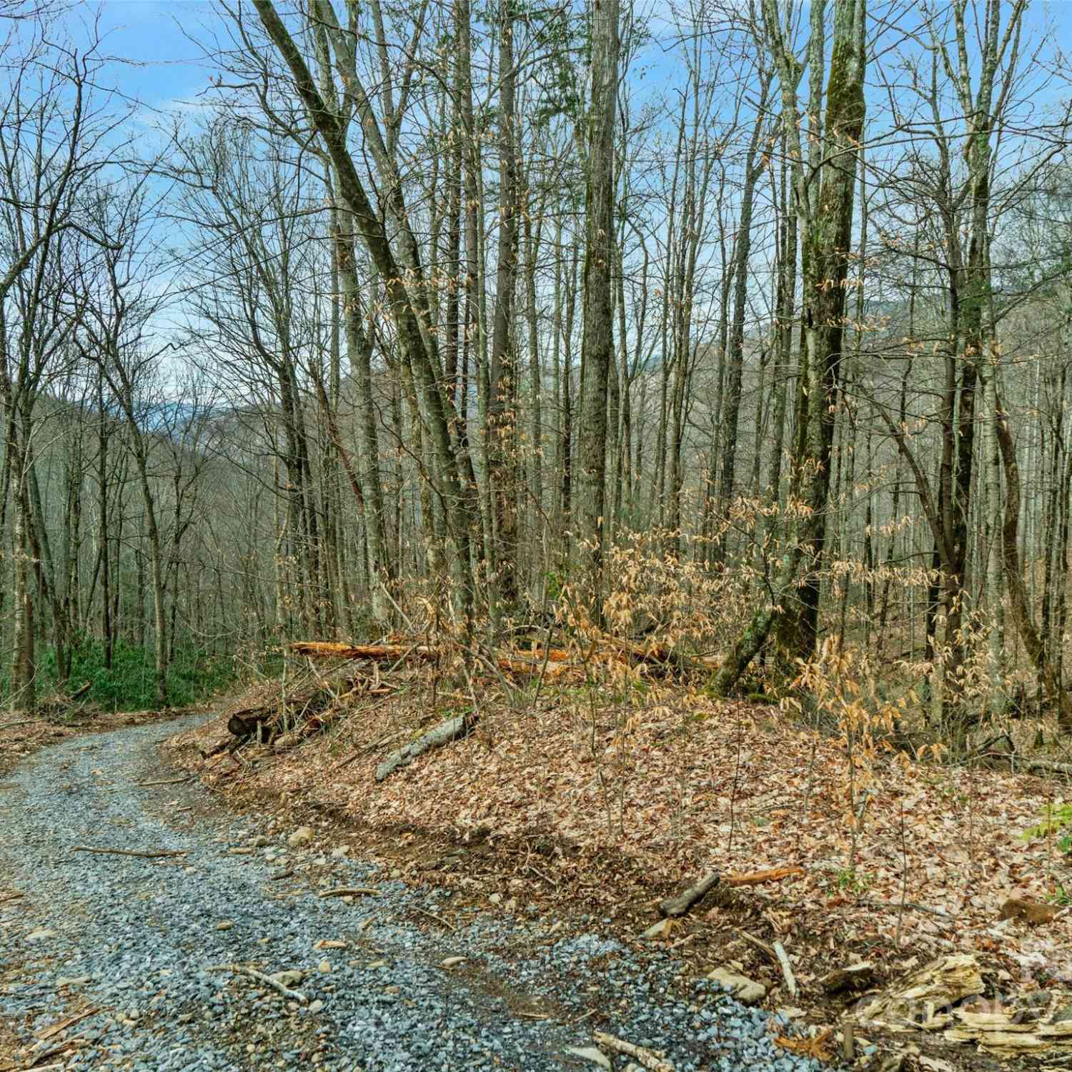 3 +/- Acres Mountain Laurel Lane, Burnsville, North Carolina image 2