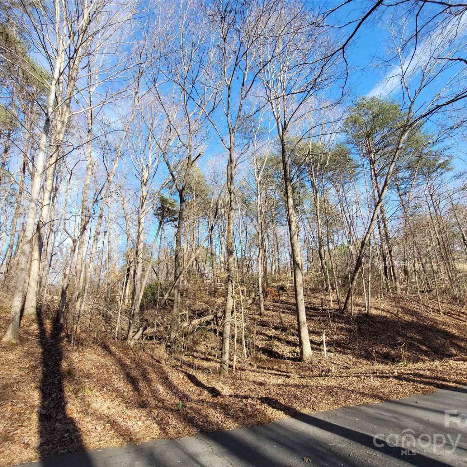 Lot 194 Plantation Drive #1402092, Rutherfordton, North Carolina image 1