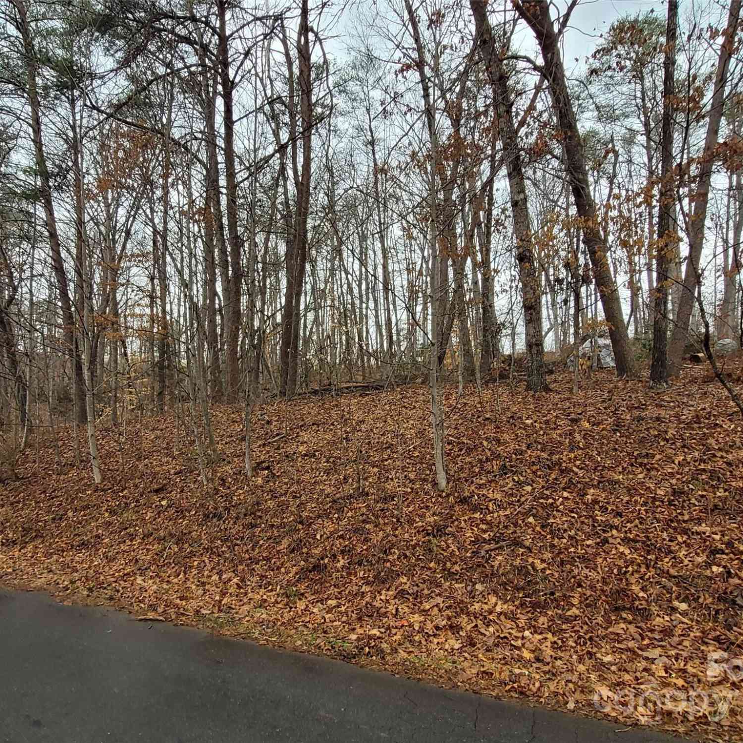 Lot 194 Plantation Drive #1402092, Rutherfordton, North Carolina image 3