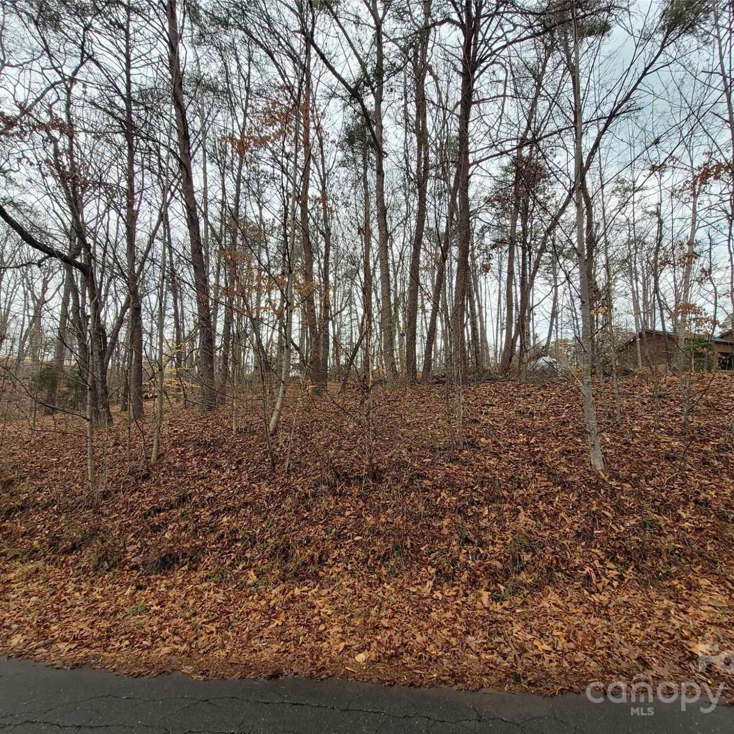 Lot 194 Plantation Drive #1402092, Rutherfordton, North Carolina image 4