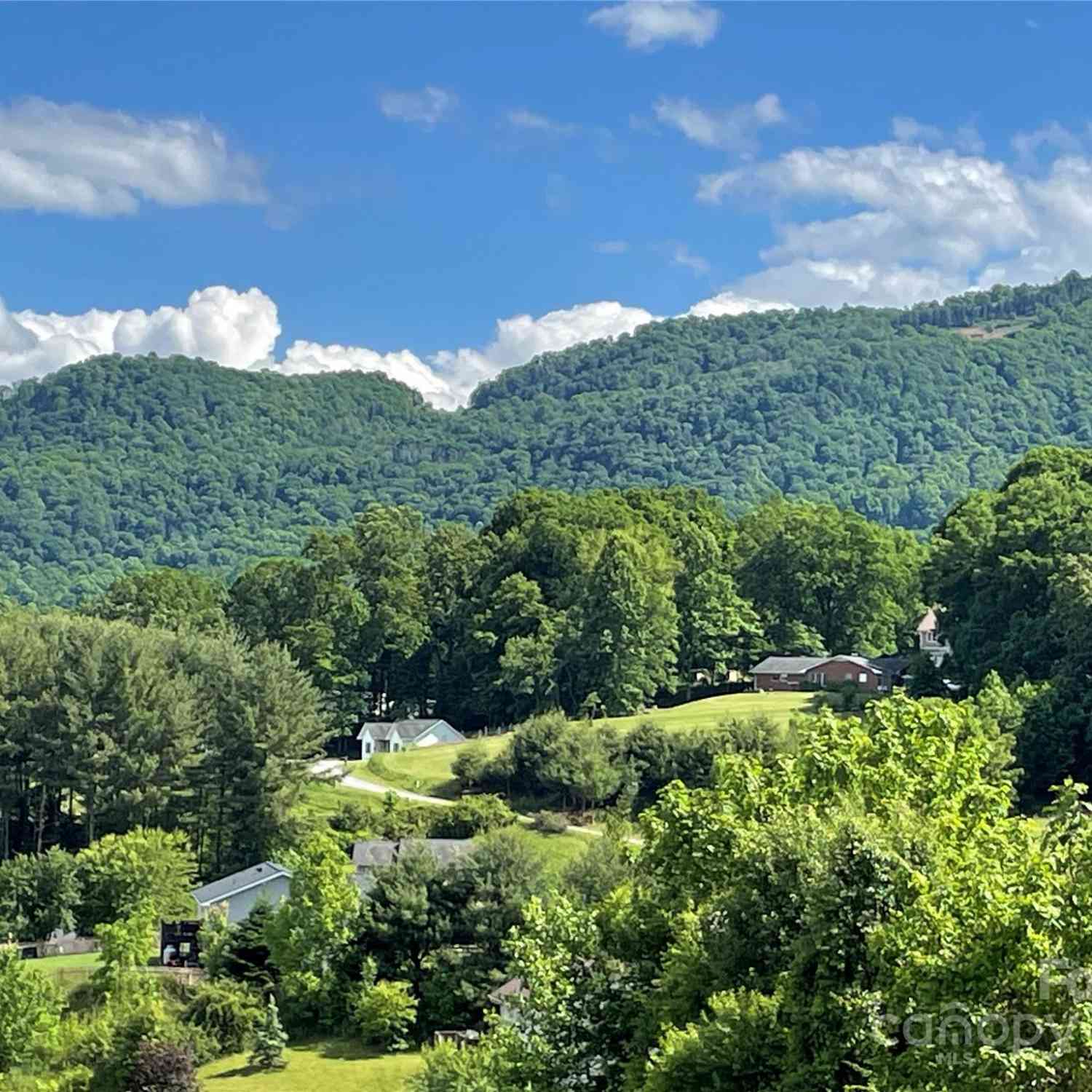 373 Barefoot Ridge, Clyde, North Carolina image 4