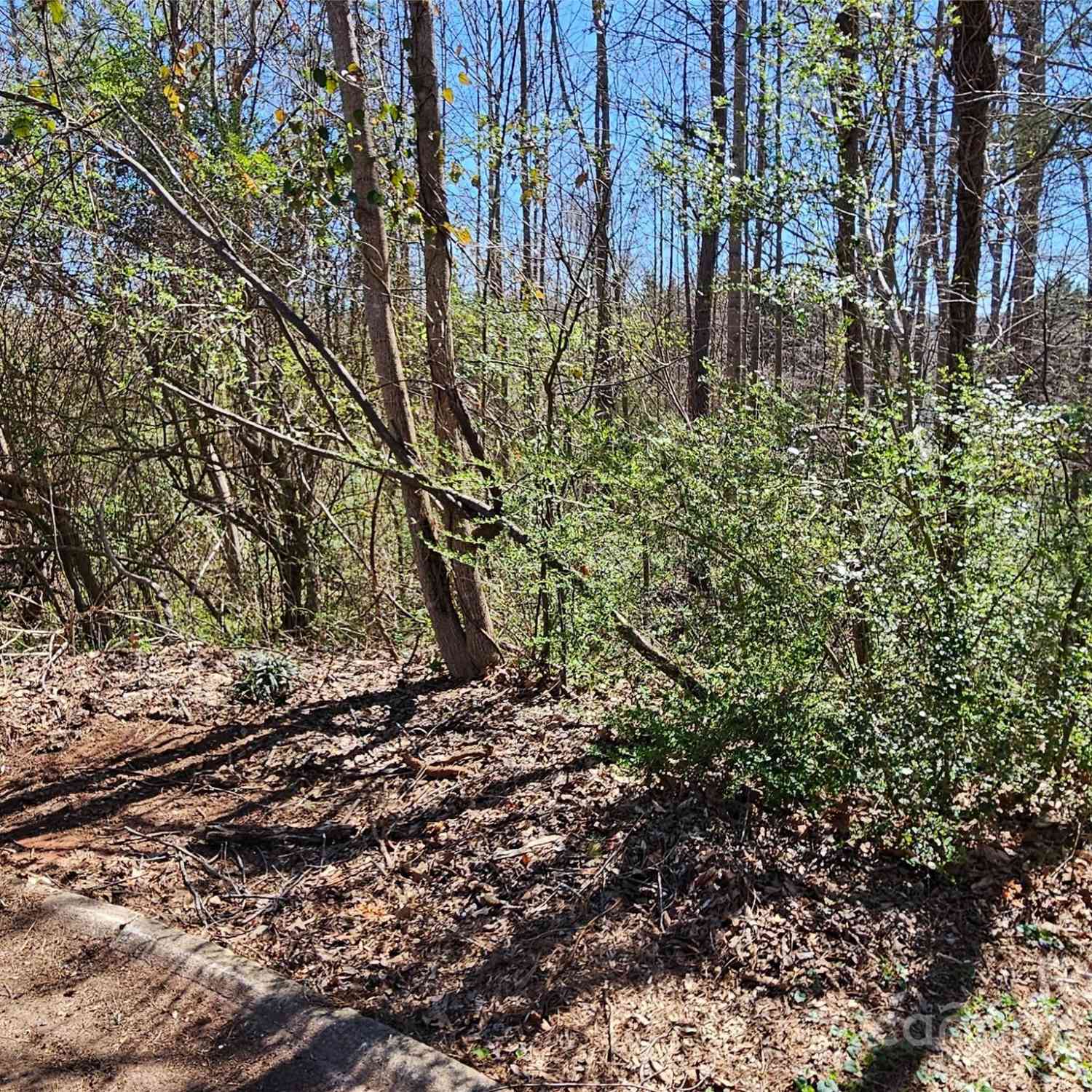 Gray Court #56  55, Rutherfordton, North Carolina image 2