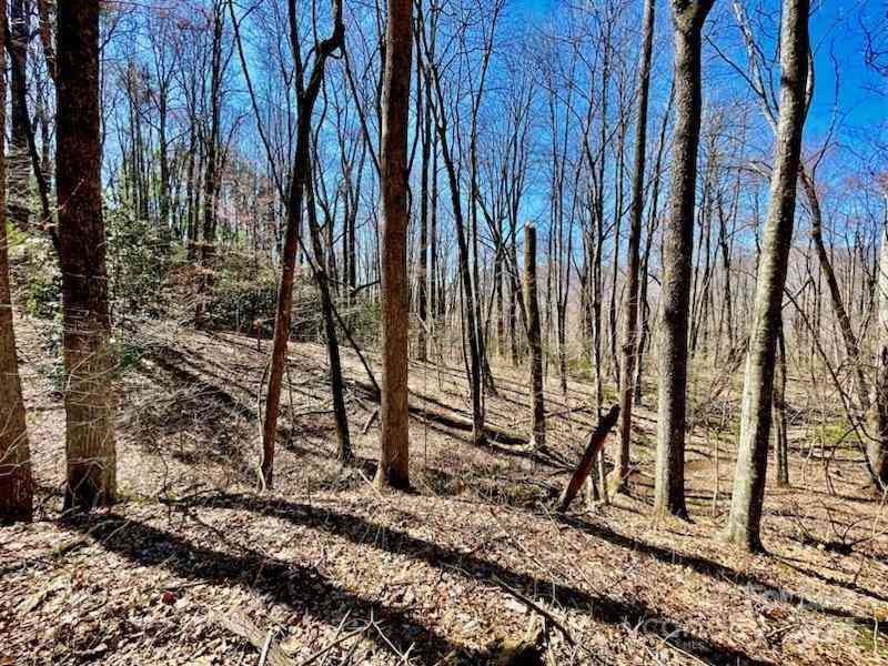 11.12 Acres Middle Mountain Road #5, Black Mountain, North Carolina image 24