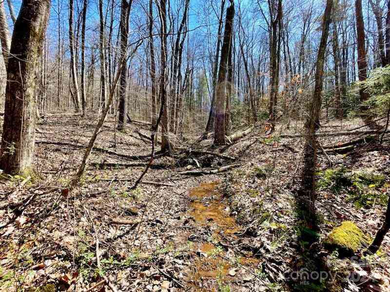 11.12 Acres Middle Mountain Road #5, Black Mountain, North Carolina image 23