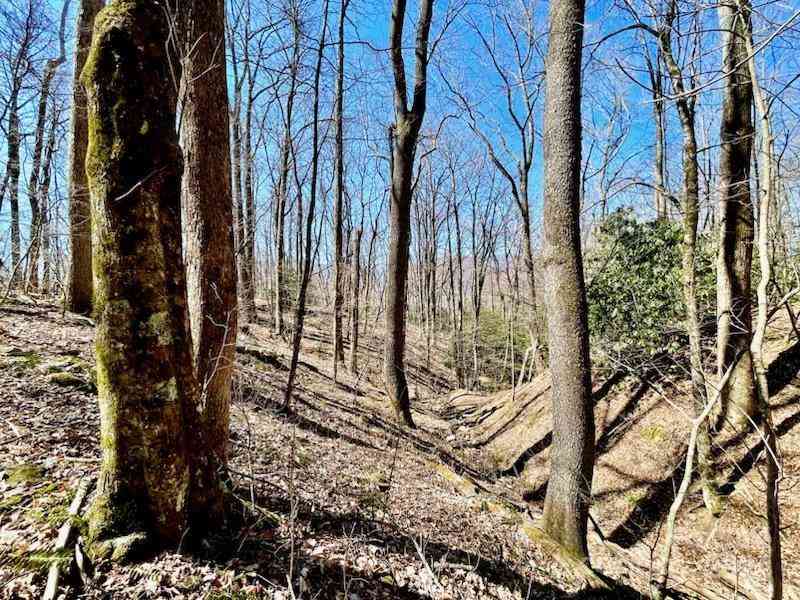 11.12 Acres Middle Mountain Road #5, Black Mountain, North Carolina image 21