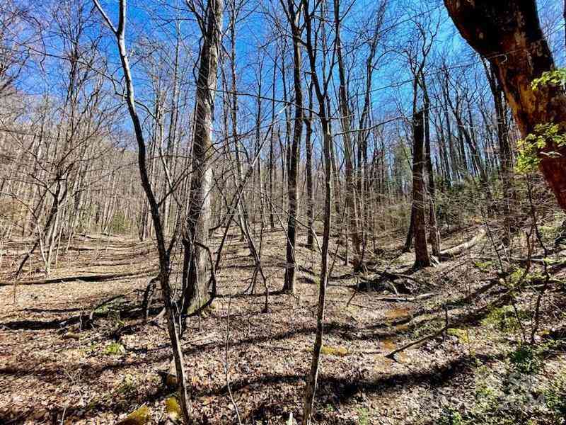 11.12 Acres Middle Mountain Road #5, Black Mountain, North Carolina image 16