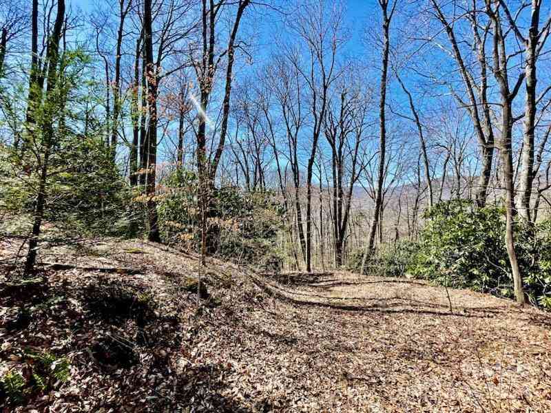 11.12 Acres Middle Mountain Road #5, Black Mountain, North Carolina image 5