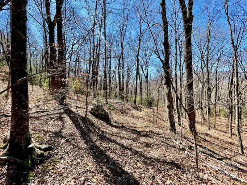 11.12 Acres Middle Mountain Road #5, Black Mountain, North Carolina image 6