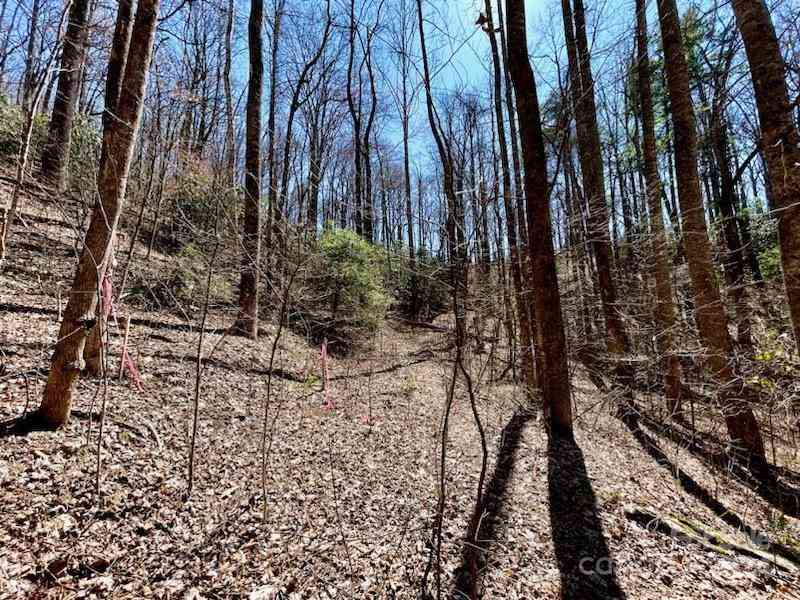 11.12 Acres Middle Mountain Road #5, Black Mountain, North Carolina image 18