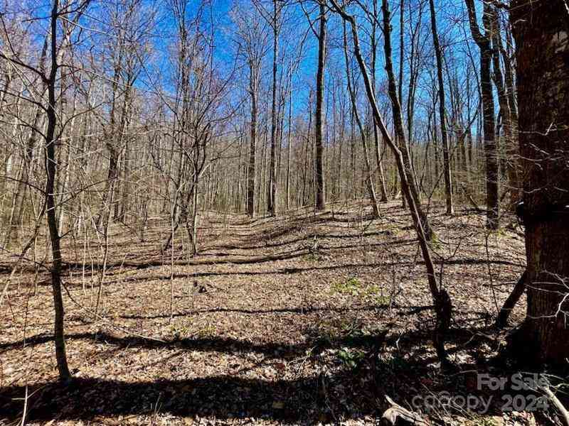 11.12 Acres Middle Mountain Road #5, Black Mountain, North Carolina image 22