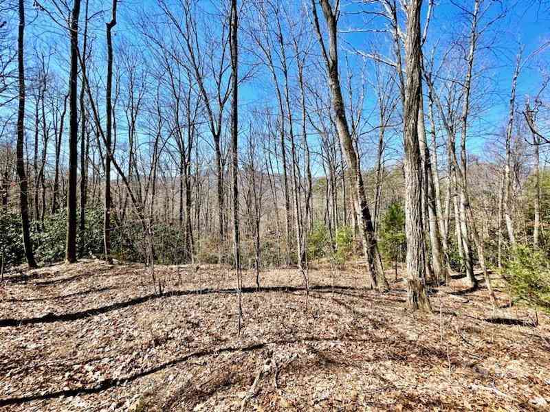 11.12 Acres Middle Mountain Road #5, Black Mountain, North Carolina image 4