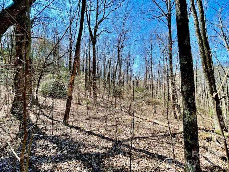 11.12 Acres Middle Mountain Road #5, Black Mountain, North Carolina image 14