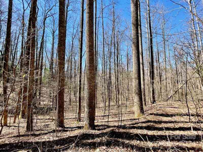 11.12 Acres Middle Mountain Road #5, Black Mountain, North Carolina image 17