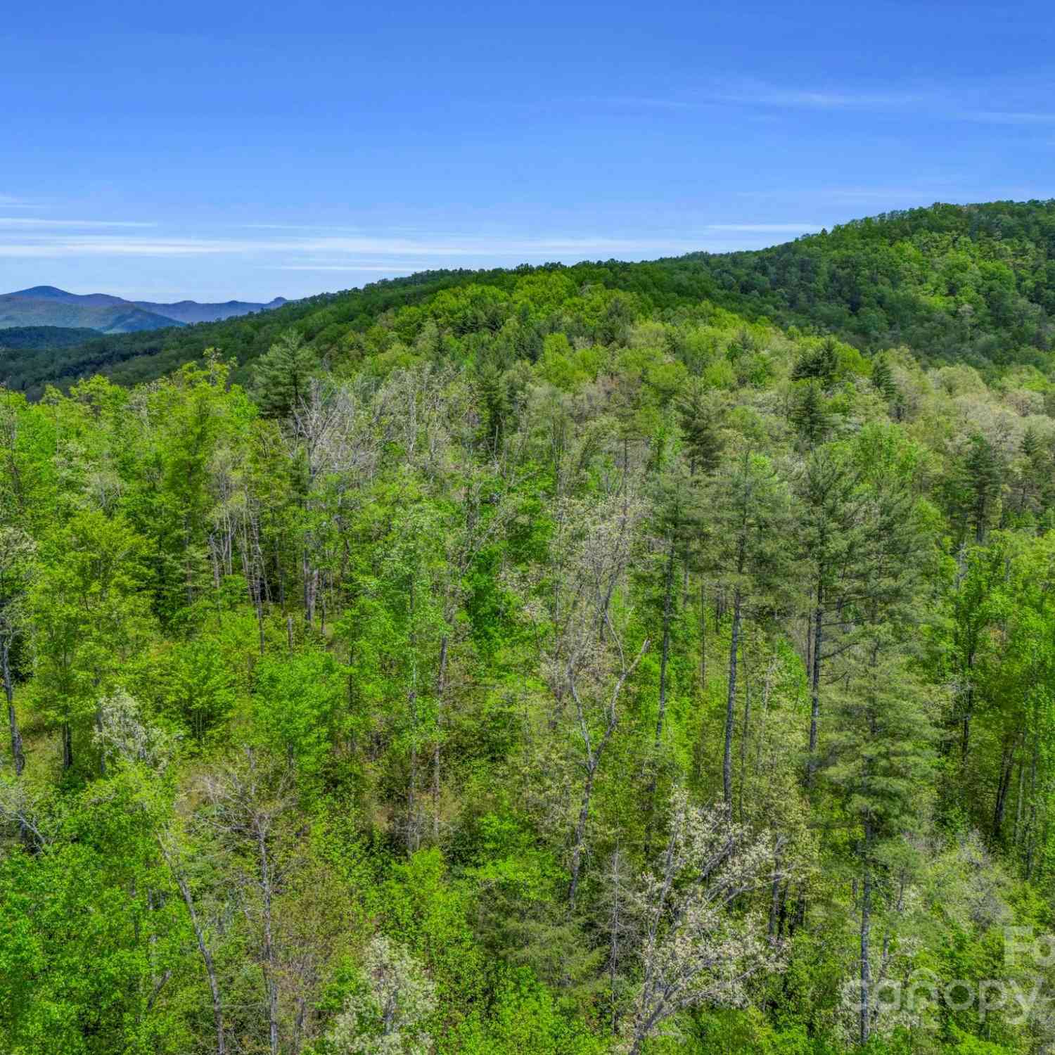 35 Garnet Trail, Lake Toxaway, North Carolina image 15