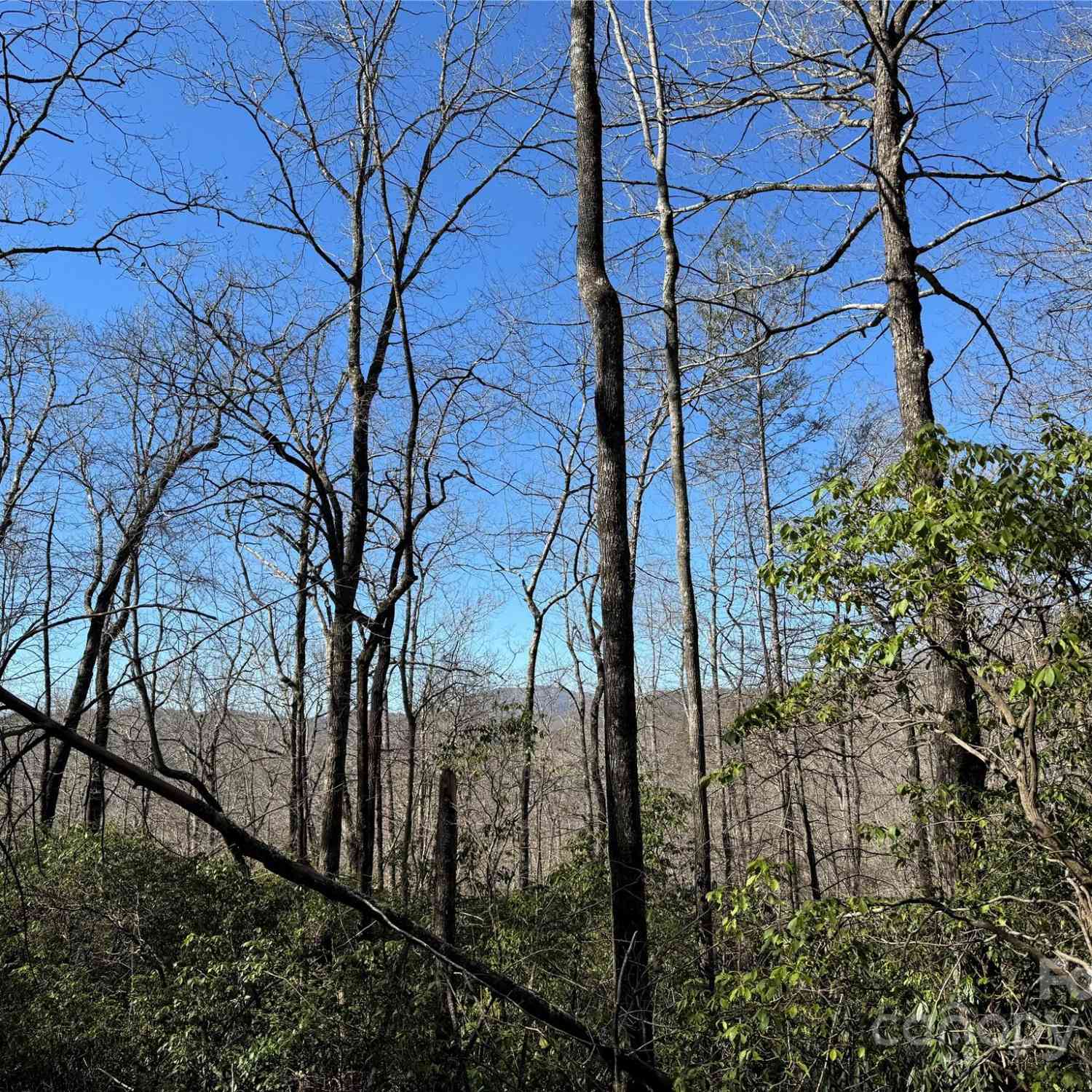 35 Garnet Trail, Lake Toxaway, North Carolina image 8