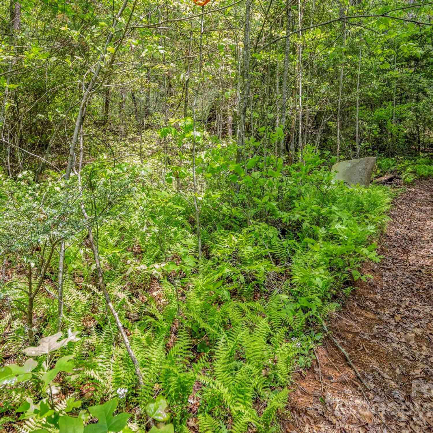 35 Garnet Trail, Lake Toxaway, North Carolina image 17