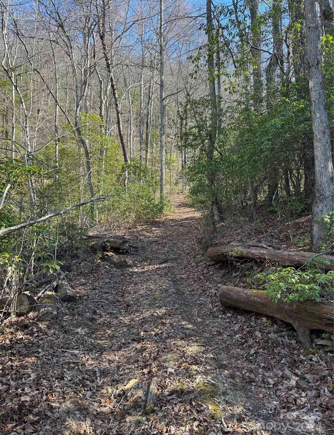 35 Garnet Trail, Lake Toxaway, North Carolina image 7