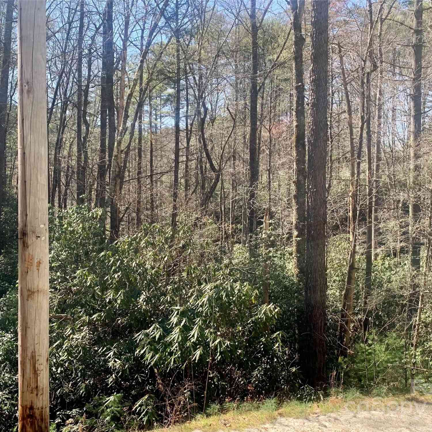 22 Double Creek Road #LOT 22  25, Brevard, North Carolina image 1